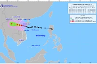Bão số 5 cách đất liền khoảng 80 km, dự kiến sẽ đổ bộ vào chiều 25-8