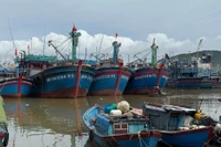 Tàu thuyền vào nơi neo đậu an toàn trước khi bão số 13 đổ bộ. Ảnh: P.V