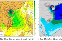 Vùng biển Gia Lai có gió mạnh, sóng to, đất liền mưa giông