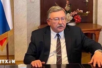 Nga, Nhật Bản kêu gọi giải pháp ngoại giao trong vấn đề hạt nhân Iran