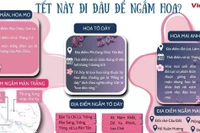 Gợi ý những điểm đến ngắm hoa dịp Tết Ất Tỵ