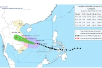 Bản đồ dự báo quỹ đạo và cường độ của bão phát lúc 08h00, ngày 06/11/2025.