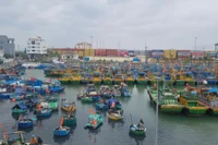 Gia Lai chủ động ứng phó với áp thấp nhiệt đới gần biển Đông