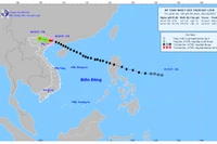 Bão số 11 suy yếu thành áp thấp nhiệt đới trên đất liền