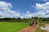 Gia Lai phân công nhiệm vụ thực hiện Bộ tiêu chí xã nông thôn mới giai đoạn 2021-2025