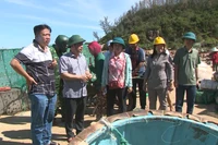 Phó Chủ tịch Thường trực UBND tỉnh Gia Lai Nguyễn Tuấn Thanh kiểm tra và chỉ đạo công tác khắc phục hậu quả bão số 13 tại khu vực ven biển phường Quy Nhơn Nam.