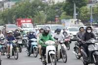 Bạn có đồng ý với chủ trương cấm xe xăng và khuyến khích sử dụng xe điện không?