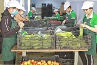 Gia Lai ban hành kế hoạch cải thiện môi trường kinh doanh