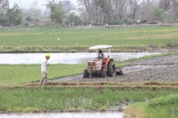 Tập trung chuyển đổi cây trồng, mở rộng vùng trồng xuất khẩu trong năm 2026