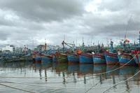 Nghiêm cấm tàu thuyền xuất bến cho đến khi bão số 13 tan