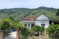 Gia Lai ban hành Lệnh xây dựng công trình khẩn cấp các dự án, phương án bố trí ổn định dân cư vùng thiên tai