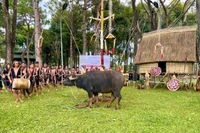 Đoàn nghệ nhân Gia Lai tham gia Lễ hội Cồng chiêng Đông Nam Á