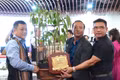 Trường Sinh Group đấu giá thành công cây Sâm Ngọc Linh 35 năm tuổi trị giá 725 triệu đồng