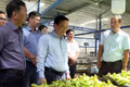 Phó Chủ tịch Thường trực UBND tỉnh Gia Lai làm việc với Công ty Nông nghiệp HAGL - Stung Treng