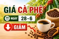 Giá cà phê ngày 28-6: Quay đầu giảm 600 đồng/kg