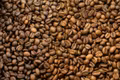 Ngày 29-5, giá cà phê trong nước mất thêm 800 đồng/kg