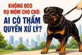 Không đeo rọ mõm cho chó: Ai có thẩm quyền xử lý?
