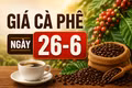 Giá cà phê ngày 26-6: Tăng thêm 700 đồng, lên mức 89.400 đồng/kg