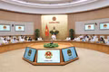 trong công tác lãnh đạo, chỉ đạo thực hiện nhiệm vụ chính trị của Đảng ủy Chính phủ, Chính phủ