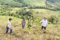 Bộ Nông nghiệp và Môi trường đề nghị các địa phương tăng tốc phát triển rừng gỗ lớn