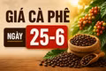 Giá cà phê ngày 25-6: Đảo chiều tăng, cao nhất 88.700 đồng/kg