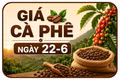 Giá cà phê trong nước ngày 22-6 giảm nhẹ 300 đồng/kg