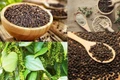 Giá hồ tiêu tăng vọt đến 3.000 đồng/kg, cà phê tiến sát mốc 102.000 đồng
