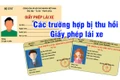 8 trường hợp có thể bị thu hồi giấy phép lái xe từ ngày 1-1-2025