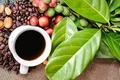 Giá cà phê trong nước ổn định phiên đầu tuần.