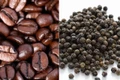 Ngày 19-10, cà phê và hồ tiêu cùng giảm 1.000 đồng/kg. Ảnh: Internet