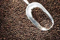 Xuất khẩu hạt tiêu của Việt Nam lập kỷ lục mới sau 10 tháng.