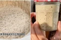 Nuôi men làm thú cưng- Trend mới của GenZ Trung Quốc. (Ảnh: Vtcnews)