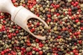 Giá hồ tiêu ngày 22-8 bật tăng 1.000-2.000 đồng/kg