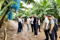 Đoàn doanh nghiệp Trung Quốc khảo sát một số vùng nguyên liệu nông sản của Gia Lai