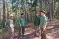 Lực lượng quản lý bảo vệ rừng chuyên trách của Ban Quản lý rừng phòng hộ Đông Bắc Chư Păh phối hợp cùng các hộ nhận khoán quản lý, bảo vệ rừng cùng tuần tra trong mùa khô 2025. Ảnh: N.D
