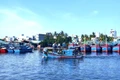 Hoài Nhơn Bắc đầu tư xây dựng kết cấu hạ tầng một cách đồng bộ
