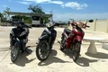 Tang vật vụ việc. Ảnh: N.M