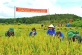 Biên cương đất ấm tình người