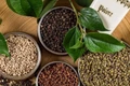 Ngày 24-8, giá hồ tiêu tại Gia Lai tăng lên mức 143.500 đồng/kg