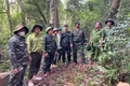 Xã Vĩnh Thạnh phối hợp tuần tra, truy quét, kiểm tra bảo vệ rừng. Ảnh: V.T