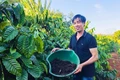 Anh Lê Viết Đen (làng Plei Briêng, xã Chư Pưh) "biến" chất thải chăn nuôi, vỏ cà phê, rơm rạ... thành phân bón hữu cơ cho cây trồng. 
