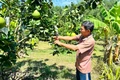 An Lão quyết tâm về đích nông thôn mới vào năm 2027