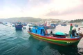 Nâng cao hiệu lực xử phạt để chống khai thác IUU