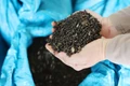 Giá hồ tiêu tăng 500-3.000 đồng/kg trong ngày 23-8