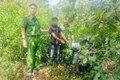 Công an xã biên giới Ia O bắt 2 đối tượng trộm cắp xe máy