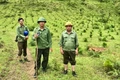 Thủ lĩnh giữ rừng Hà Ra