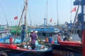 Các địa phương ven biển đều đã bố trí nơi neo đậu an toàn cho tàu thuyền khi bão đến. Ảnh: N.N