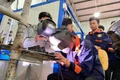 Nhiều điểm mới trong dự thảo Luật Giáo dục nghề nghiệp (sửa đổi)