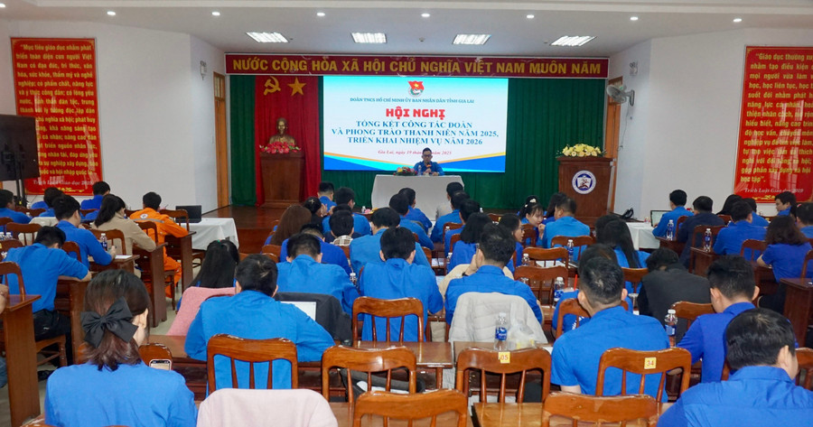 doan-ubnd-tinh-tong-ket-cong-tac-doan-va-phong-trao-thanh-nien-3.jpg