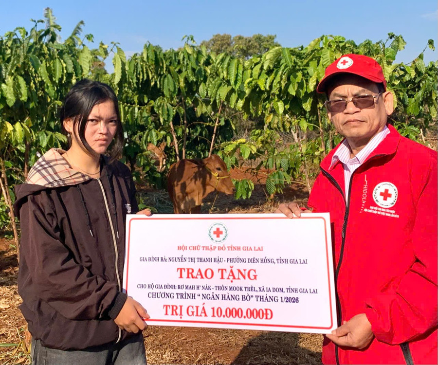 ong-ha-van-cat-chu-tich-hoi-chu-thap-do-tinh-gia-lai-trao-bo-sinh-san-cho-gia-dinh-chi-ro-mah-hnak-anh-ctv.jpg